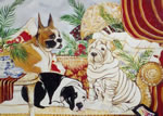 Dog Portraits