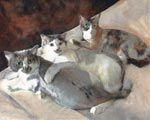 Patrick's Kitties