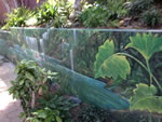 Cynder Block Wall Woodland Hills CA