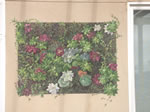 Outdoor residential Mural on thick Stucco in Oceanside