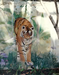 Lifesize Tiger Keeping Watch on Garage Wall