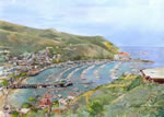 Catalina