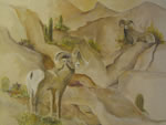 DENTIST OFFICE   Mural Themed Rooms