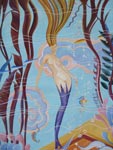 Catalina Mermaid