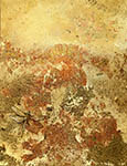 Dragonfly Series