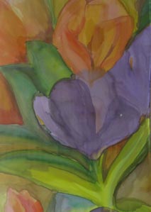 Autumn Tulip