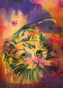 Kitty
