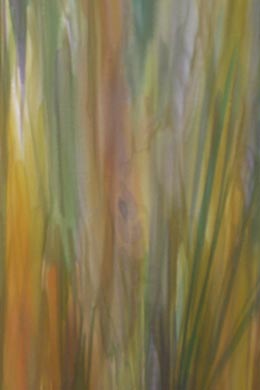 Silk Painting Autumn Butterfly