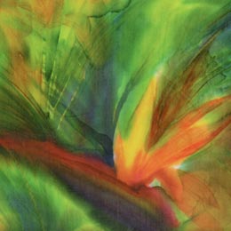 Silk Painting Bird of Paradise